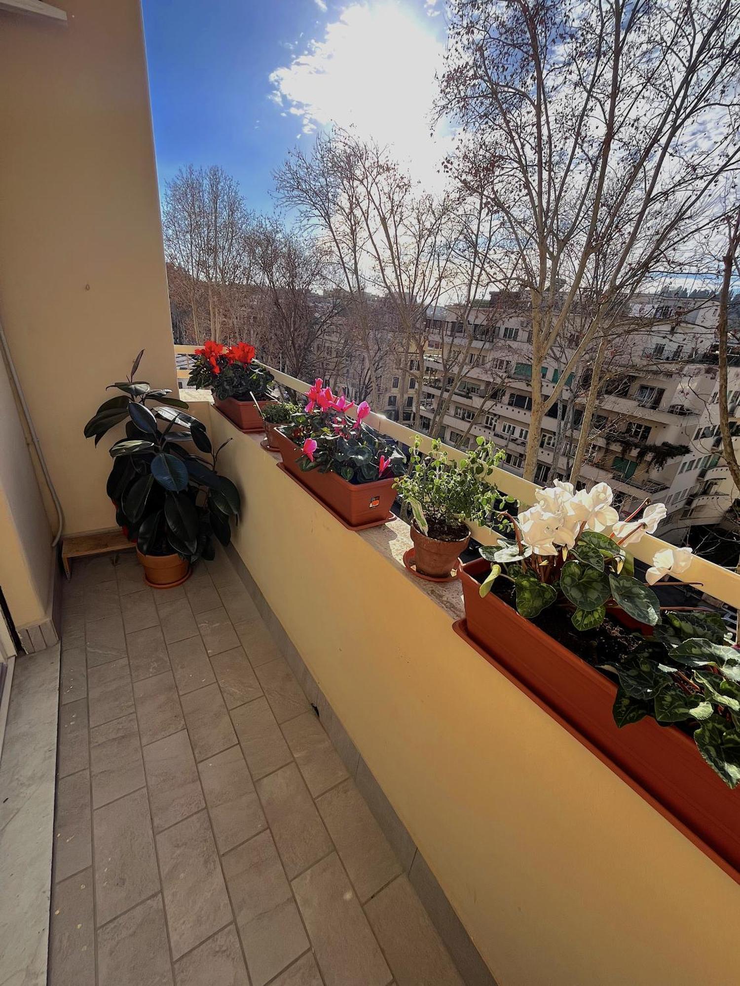 Appartamento Angelico